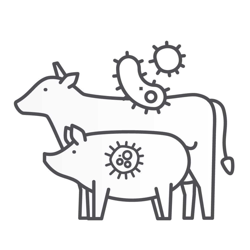 Animal diseases