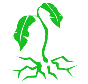theme icon