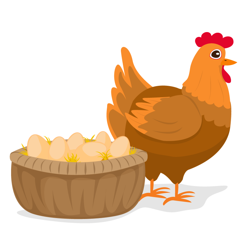 eggs and poultry