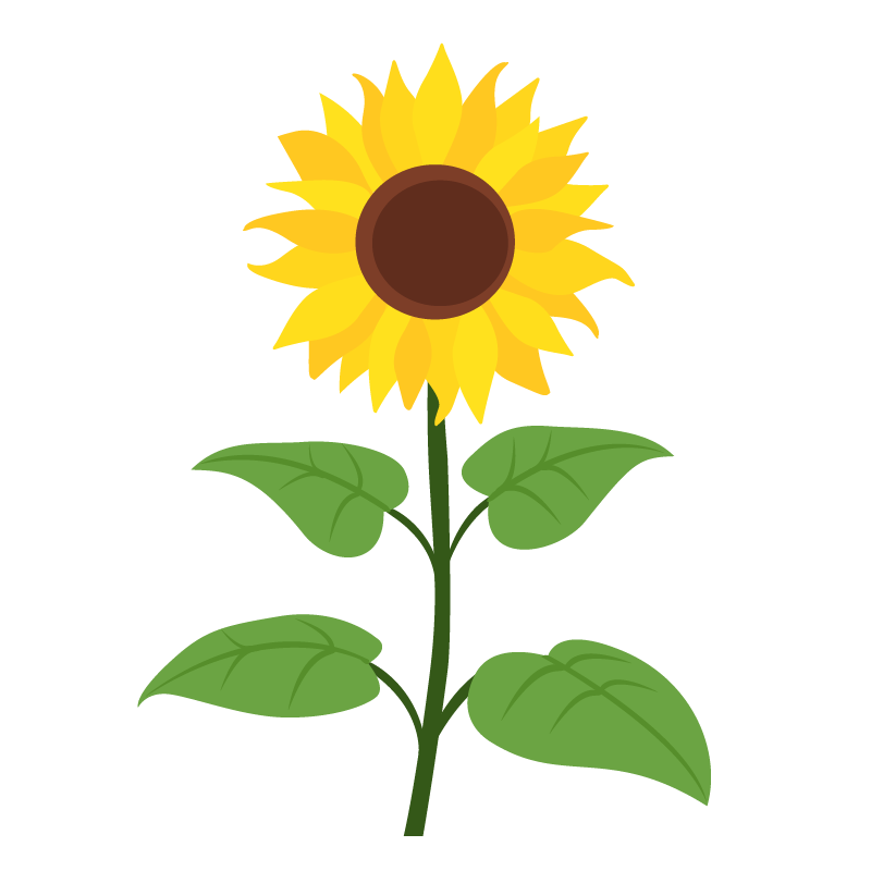 Oilseeds dashboard